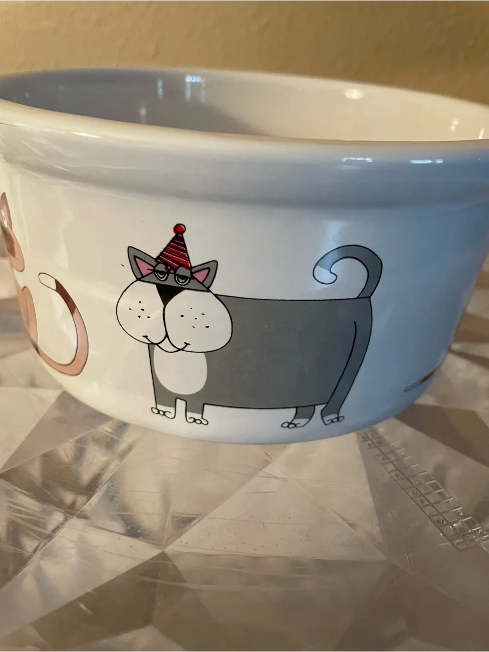Ursula Dodge Cat Party Cat Dish